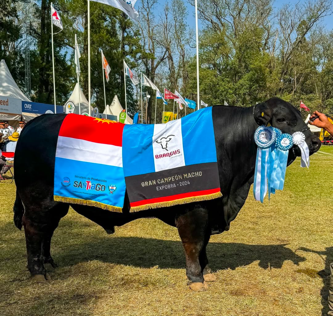 Logros y reconocimientos